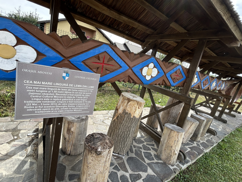 Lingura de Lemn Mioveni